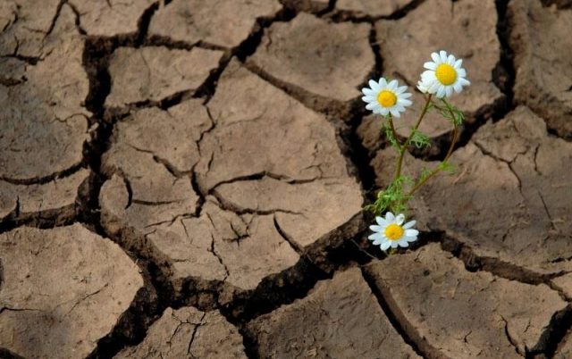 Leia mais sobre o artigo NOVO ANO, NOVO RECOMEÇO